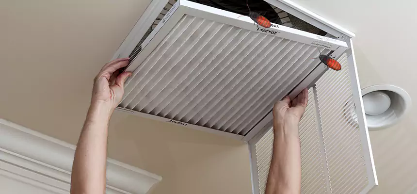 Preventive Cockroach-Proofing for Ducts in Menomonee Falls