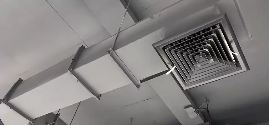 Our Pest Removal From Ducts Services in Menomonee Falls, WI