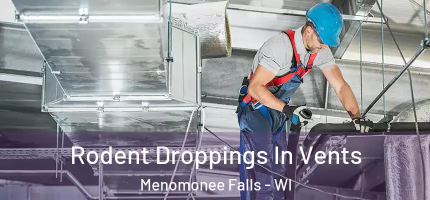  Rodent Droppings In Vents Menomonee Falls - WI