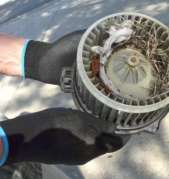 About Air Duct Rat Removal in Menomonee Falls, WI