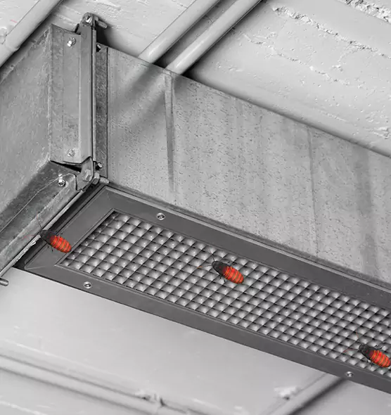 Affordable Insect Removal from Air Ducts in Menomonee Falls, WI